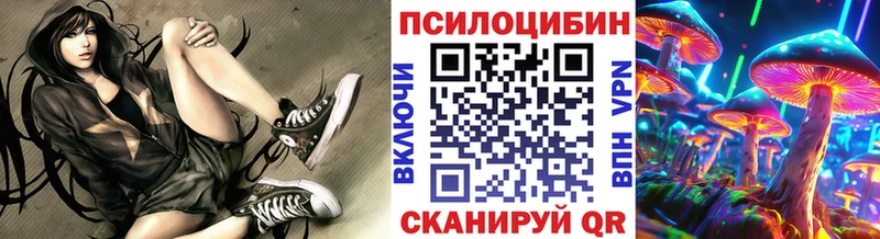 Купить закладки  Южноуральск  Псилоцибиновые грибы MAGIC MUSHROOMS 